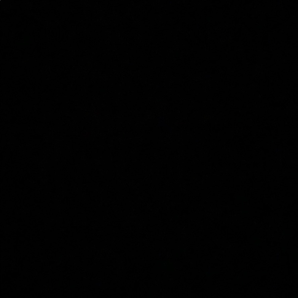 Meet your Posher, Kitty